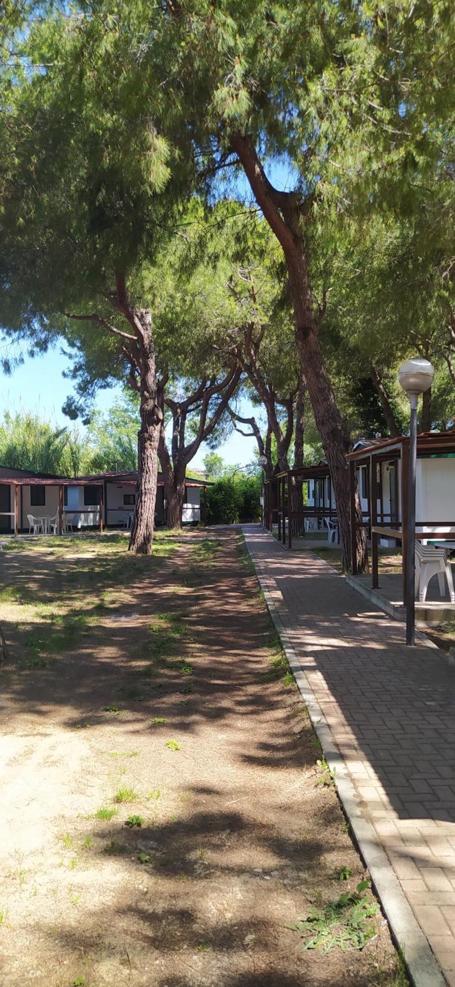 Villaggio Costa D'Argento San Vito Chietino Exteriör bild